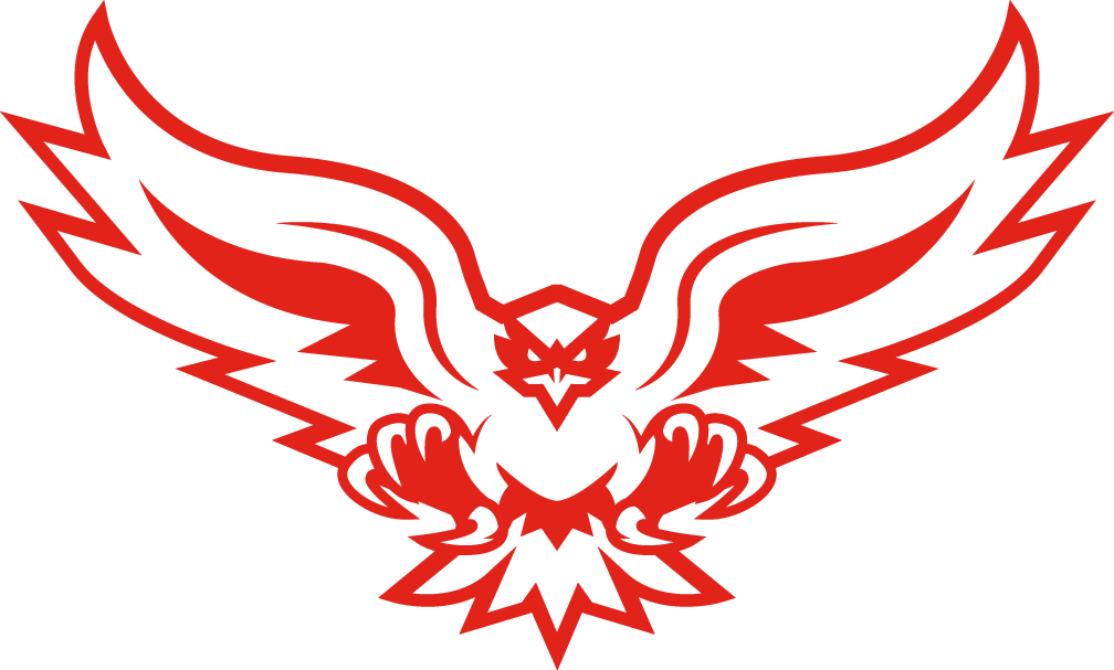 Hartford Hawks 2015-Pres Alternate Logo v4 t shirts iron on transfers
